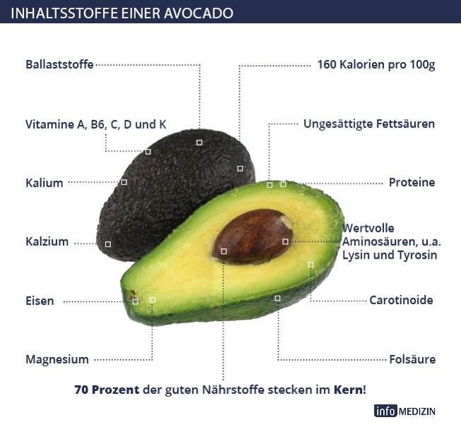 Avocado Inhaltsstoffe